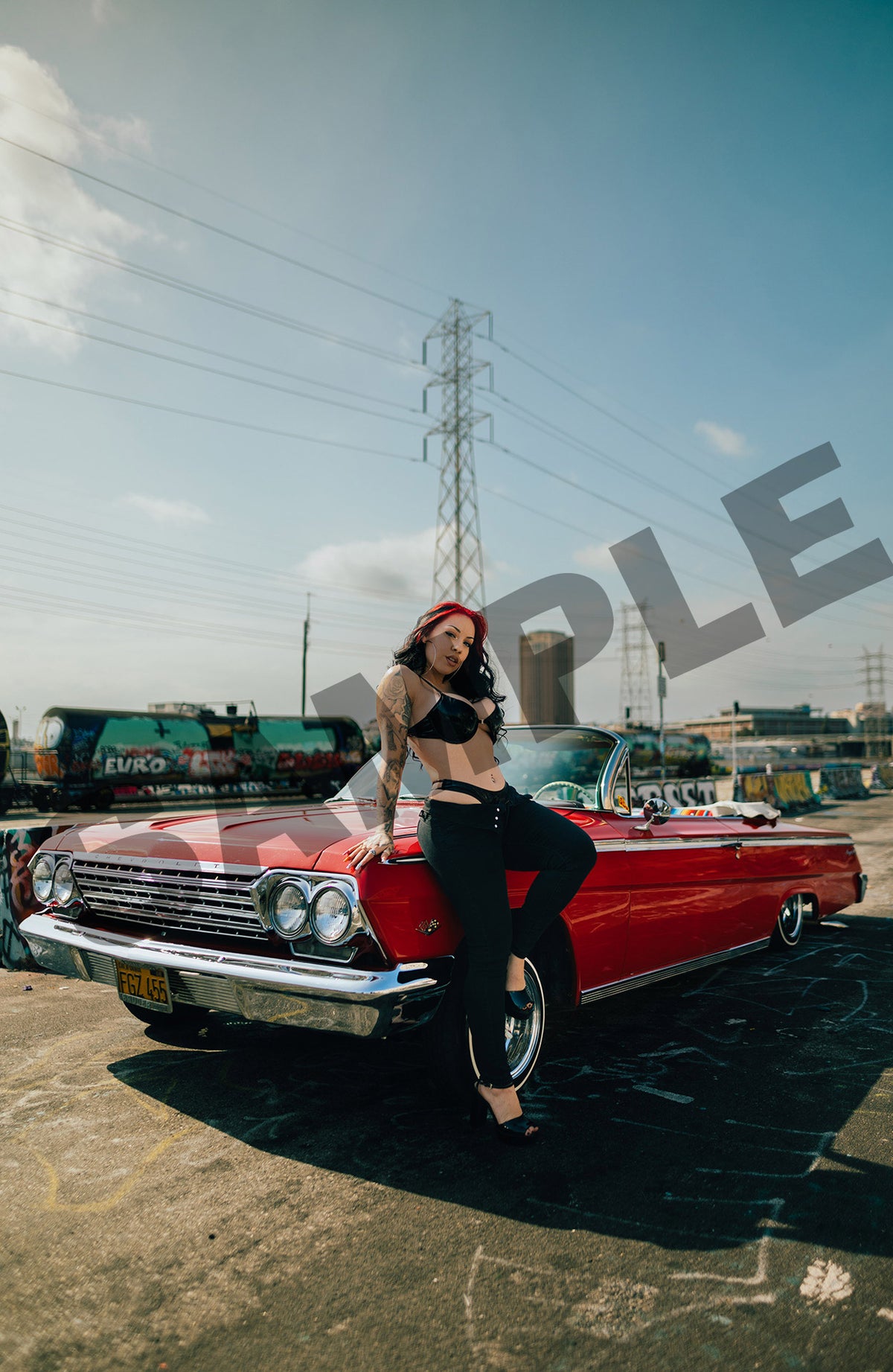 Salice Rose x Impala Poster